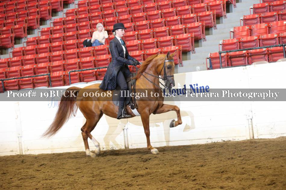 Proof 19BUCK_00608