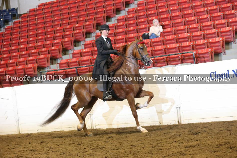 Proof 19BUCK_00609