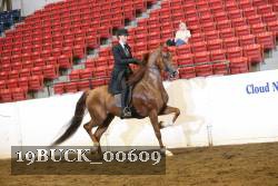 19BUCK_00609 proof