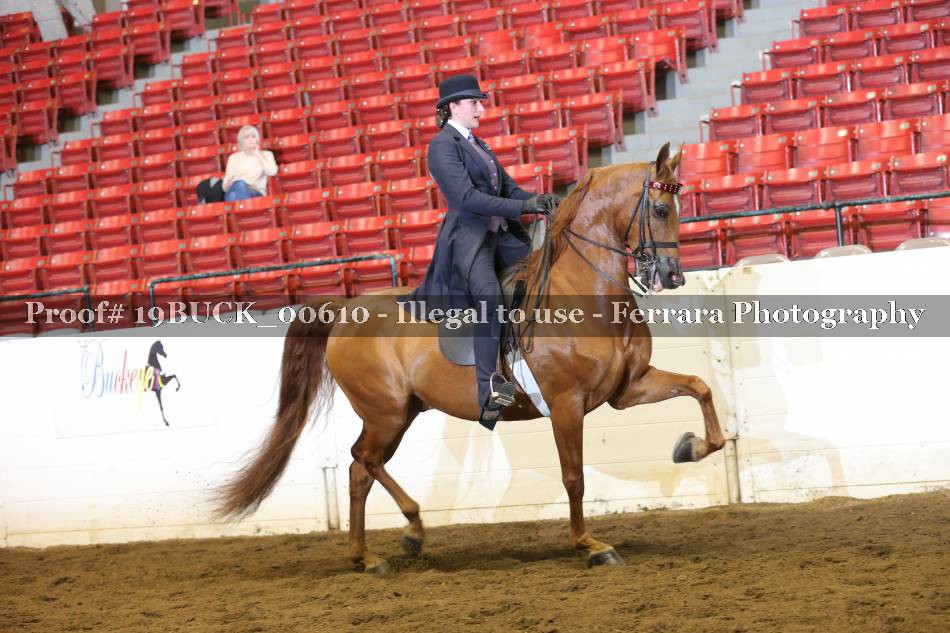 Proof 19BUCK_00610