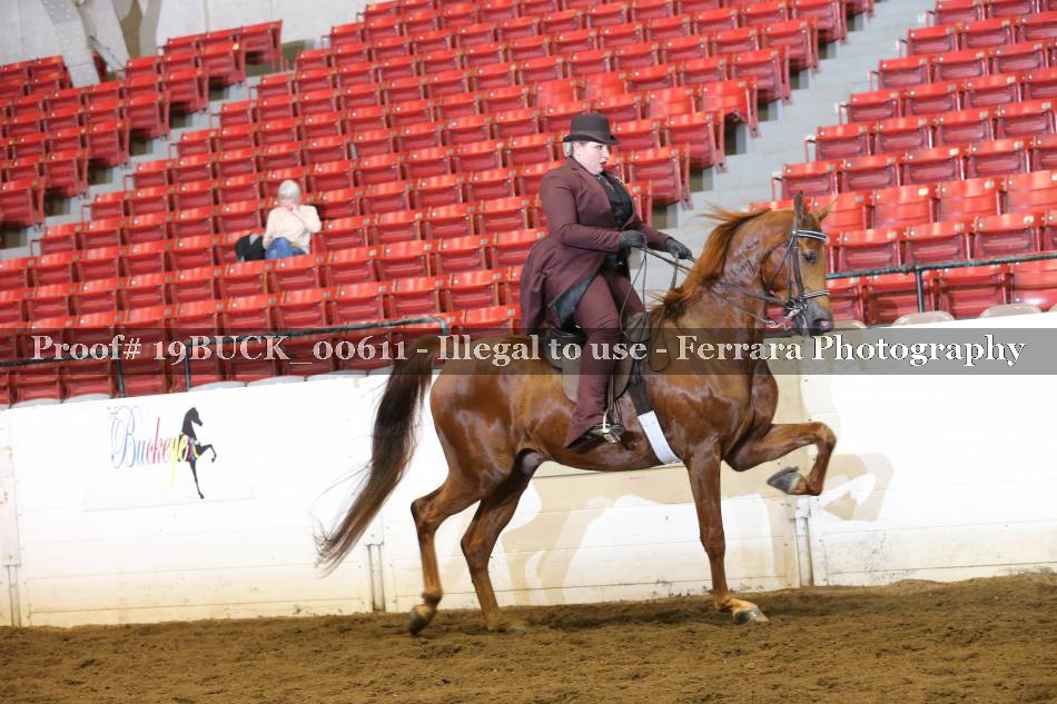 Proof 19BUCK_00611