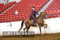 19BUCK_00611 proof
