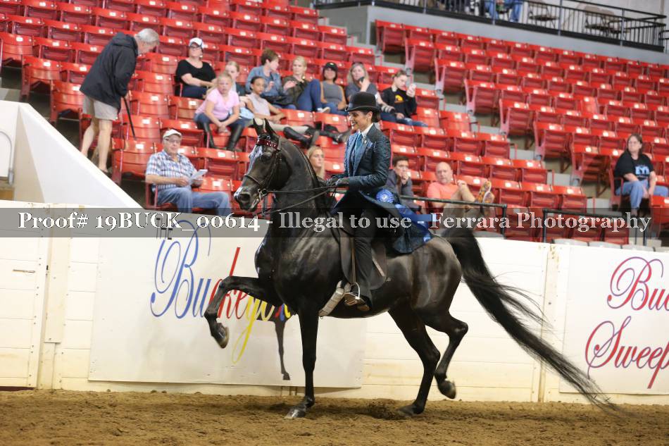 Proof 19BUCK_00614