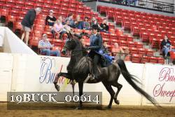 19BUCK_00614 proof
