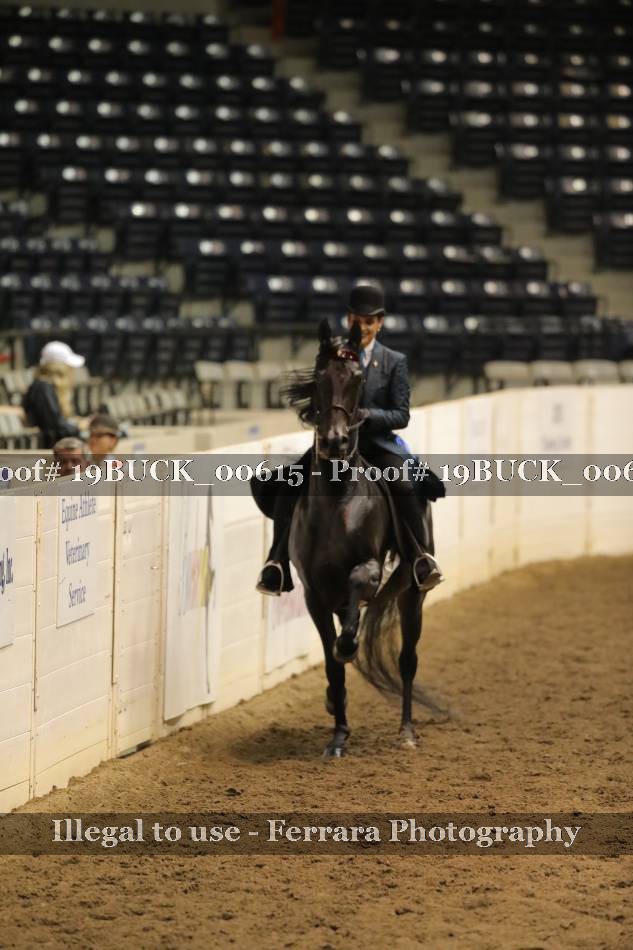 Proof 19BUCK_00615