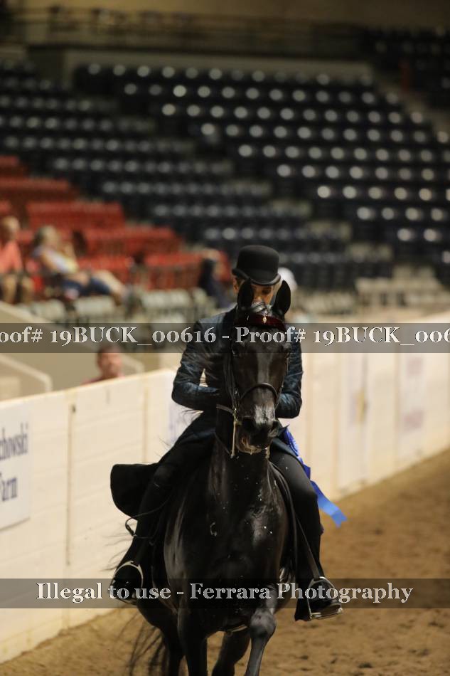 Proof 19BUCK_00616