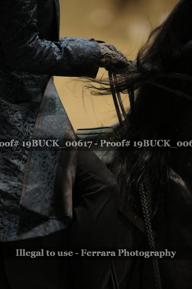 Proof 19BUCK_00617