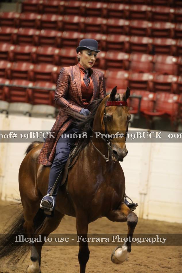 Proof 19BUCK_00618