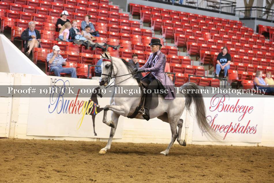 Proof 19BUCK_00619