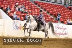 19BUCK_00619 proof