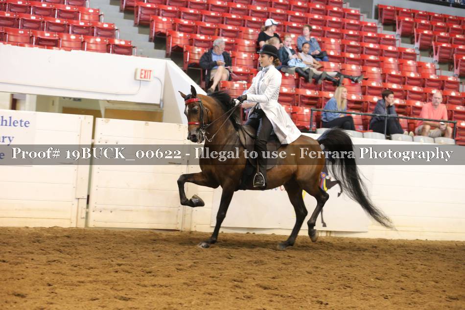 Proof 19BUCK_00622
