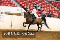 19BUCK_00622 proof
