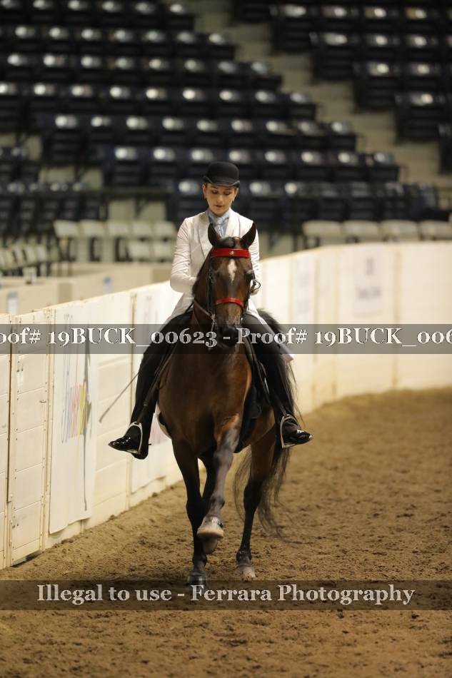 Proof 19BUCK_00623