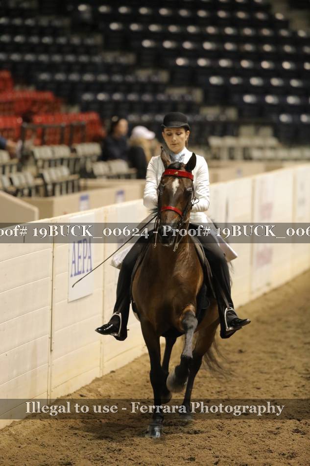 Proof 19BUCK_00624