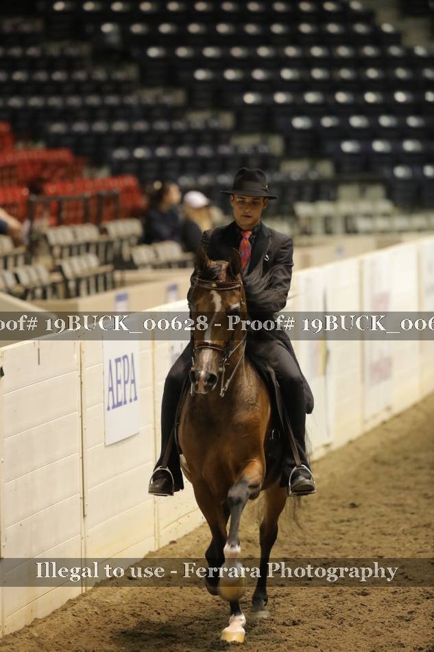 Proof 19BUCK_00628