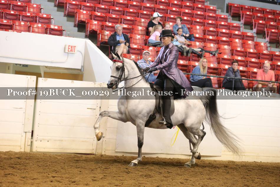 Proof 19BUCK_00629