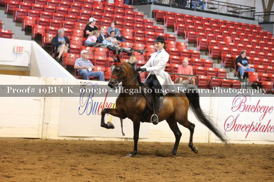 Proof 19BUCK_00630