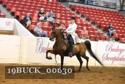 19BUCK_00630 proof