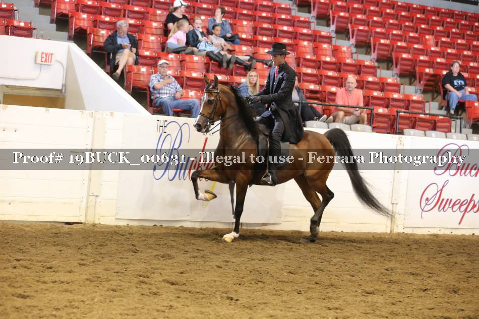 Proof 19BUCK_00631