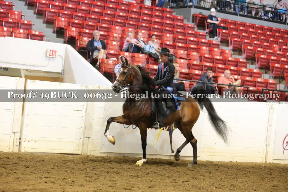Proof 19BUCK_00632