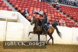 19BUCK_00632 proof