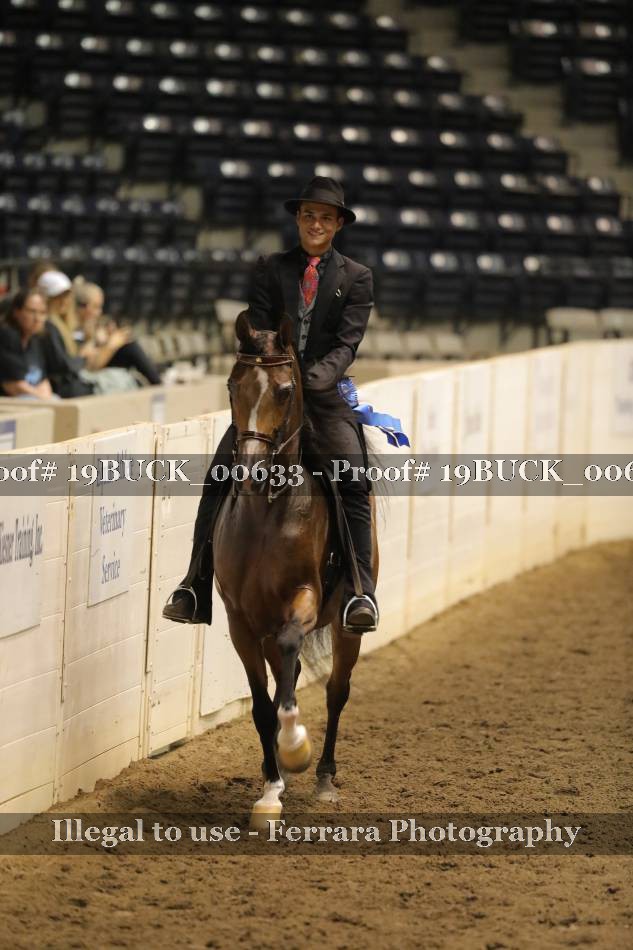 Proof 19BUCK_00633