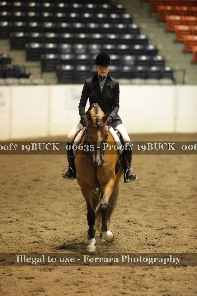 Proof 19BUCK_00635