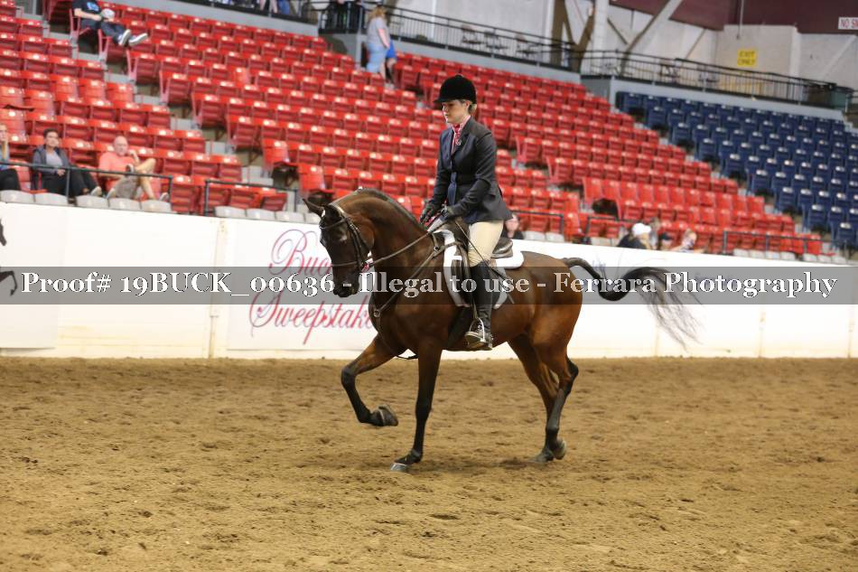 Proof 19BUCK_00636