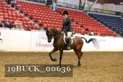 19BUCK_00636 proof