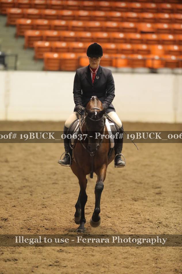 Proof 19BUCK_00637