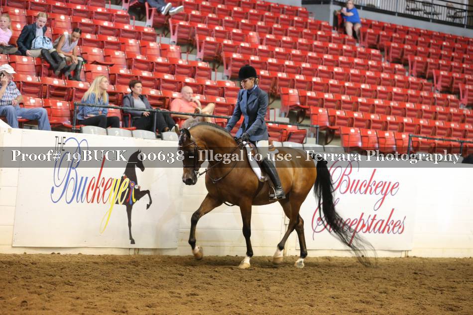 Proof 19BUCK_00638