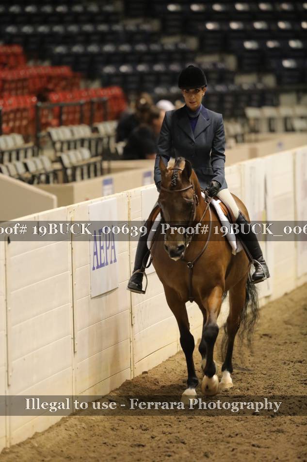 Proof 19BUCK_00639