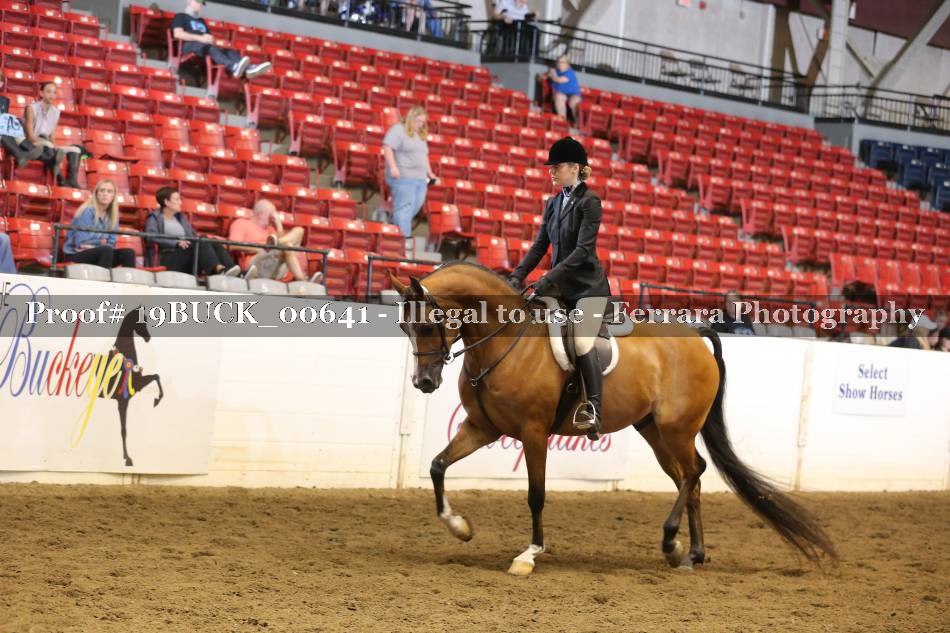 Proof 19BUCK_00641