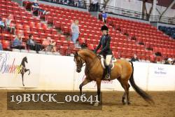 19BUCK_00641 proof