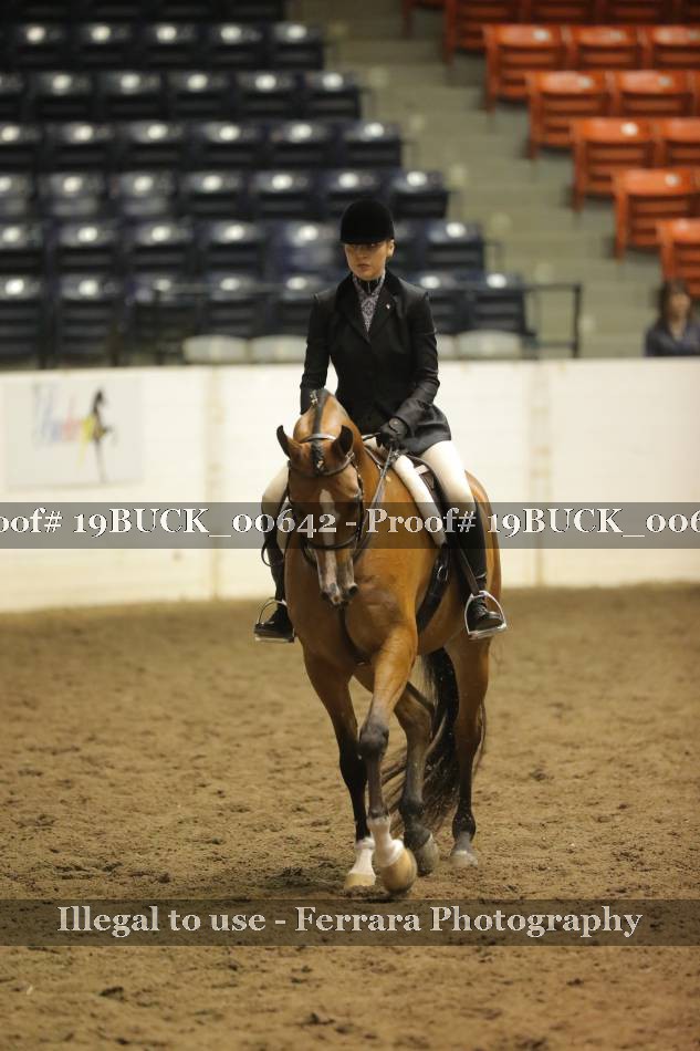 Proof 19BUCK_00642