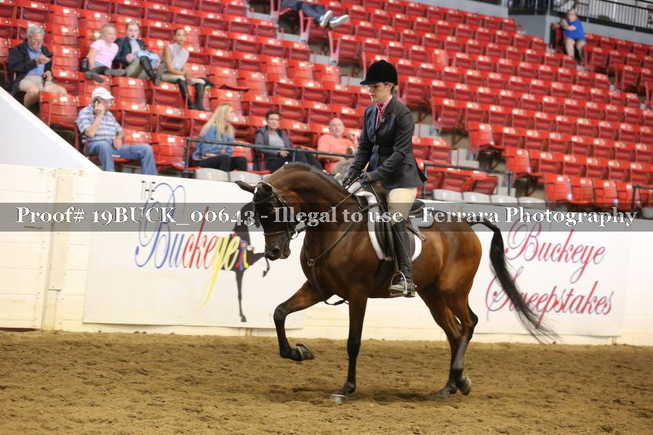 Proof 19BUCK_00643