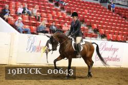 19BUCK_00643 proof
