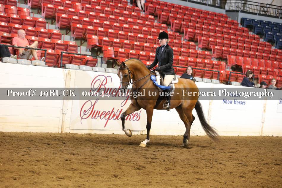 Proof 19BUCK_00644
