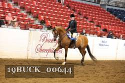 19BUCK_00644 proof