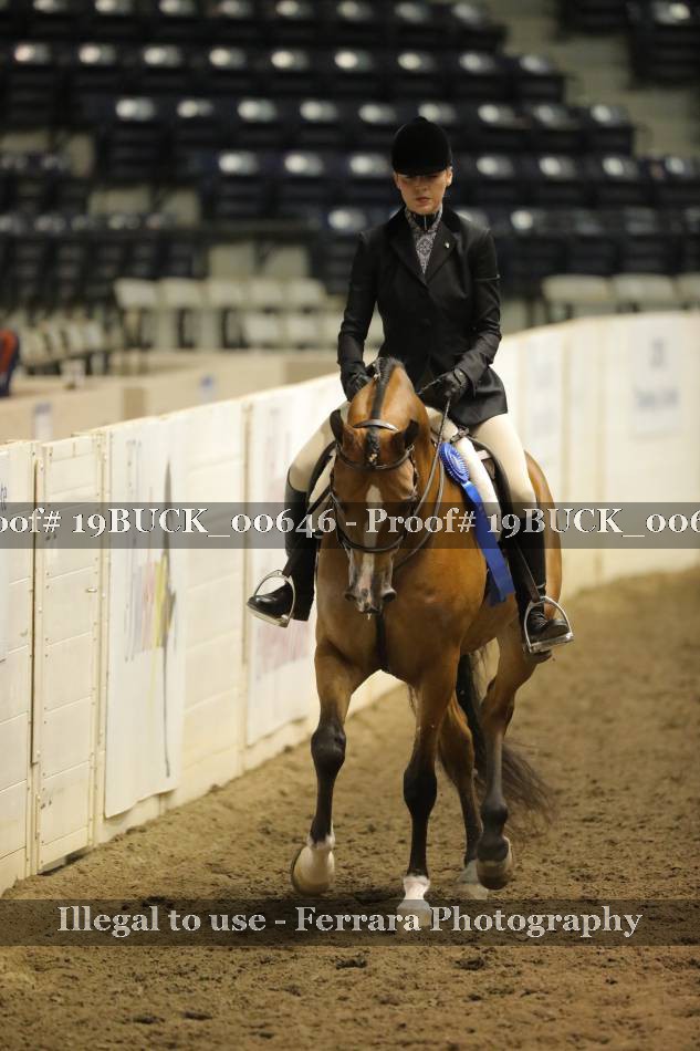 Proof 19BUCK_00646