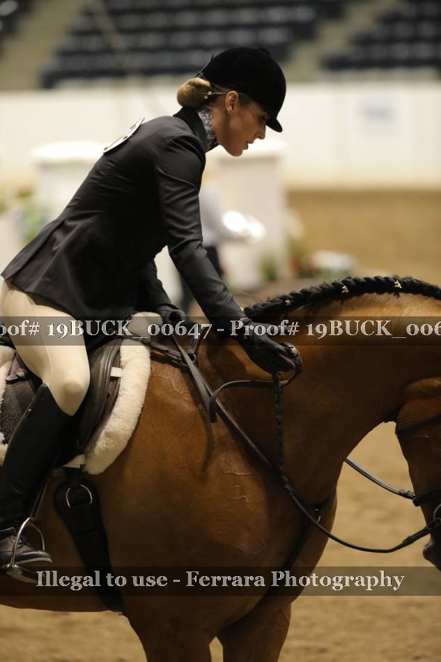 Proof 19BUCK_00647