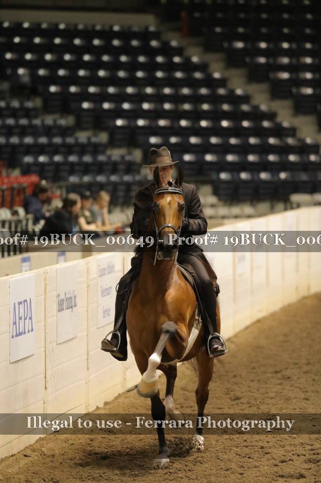 Proof 19BUCK_00649