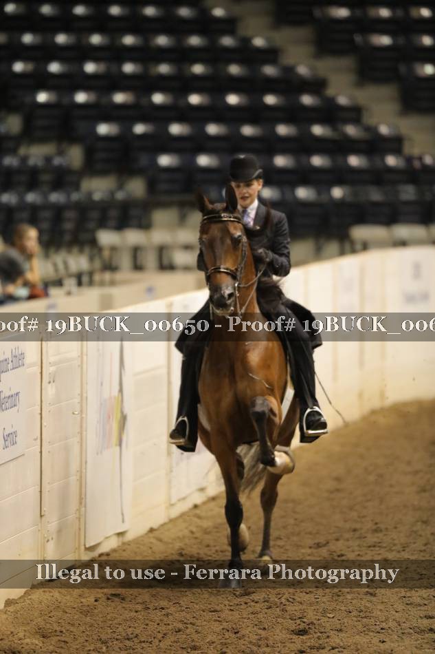 Proof 19BUCK_00650