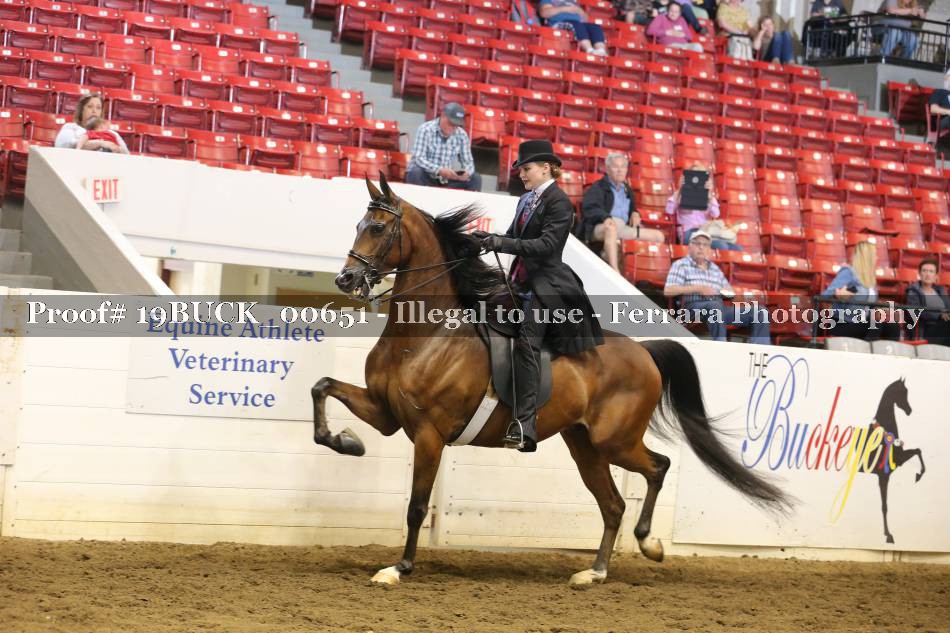 Proof 19BUCK_00651