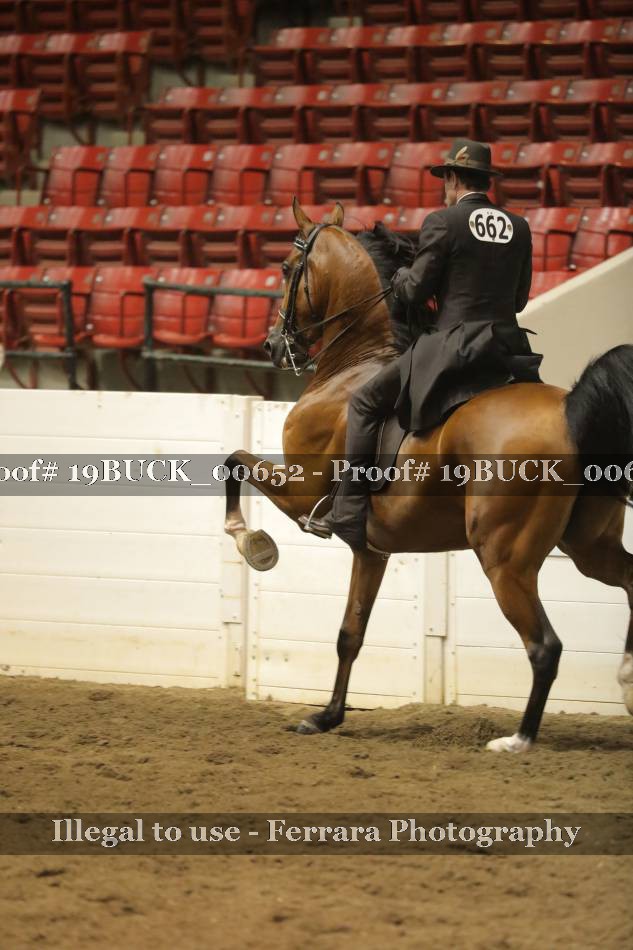 Proof 19BUCK_00652