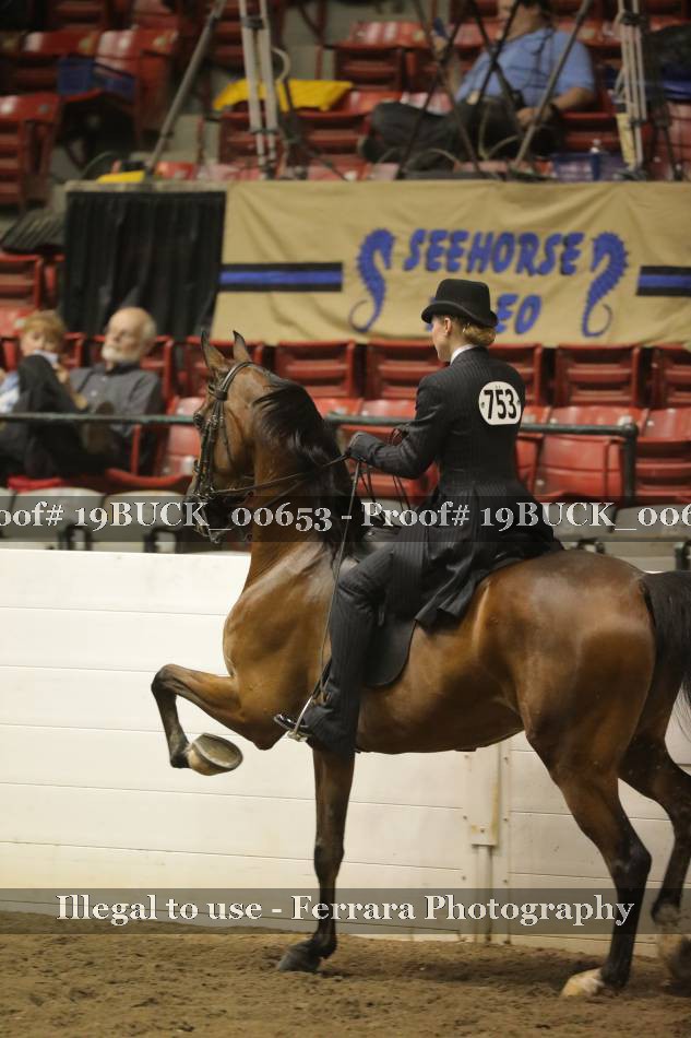 Proof 19BUCK_00653