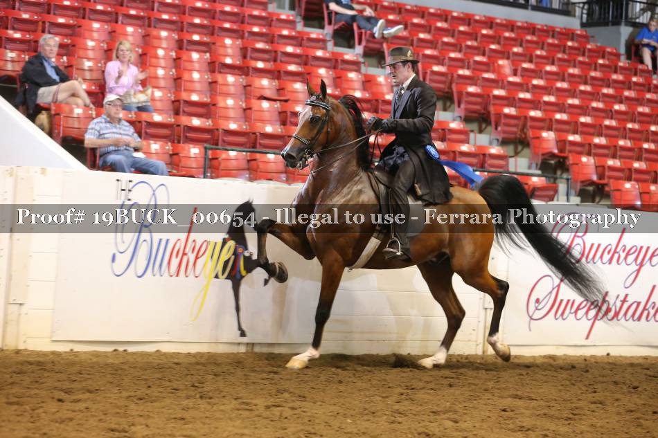Proof 19BUCK_00654