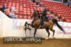 19BUCK_00654 proof