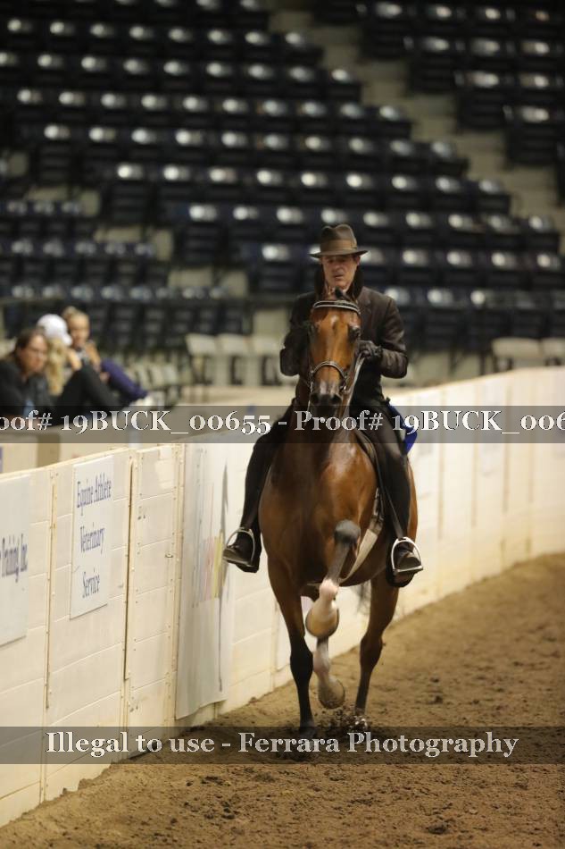 Proof 19BUCK_00655