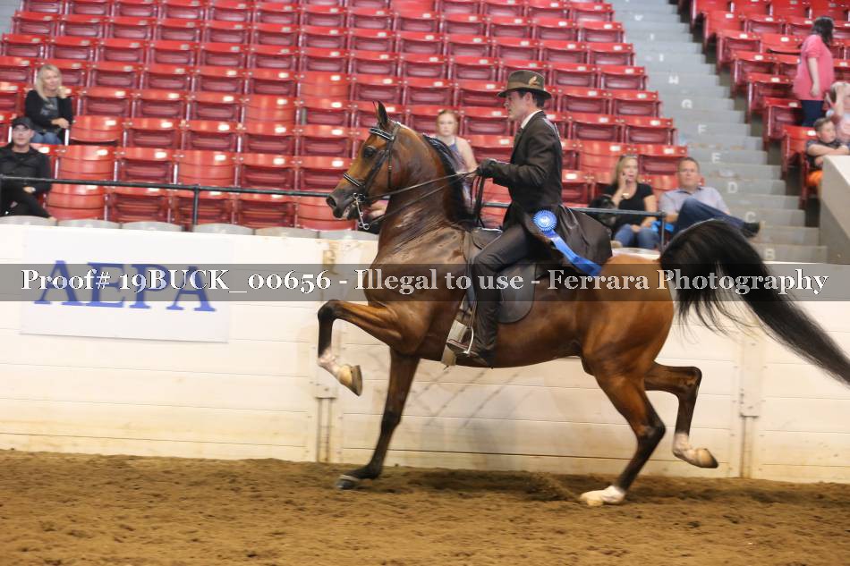 Proof 19BUCK_00656